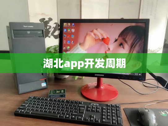 湖北app开发周期