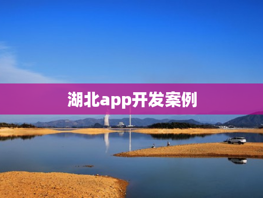 湖北app开发案例