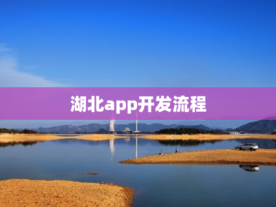 湖北app开发流程