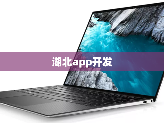 湖北app开发