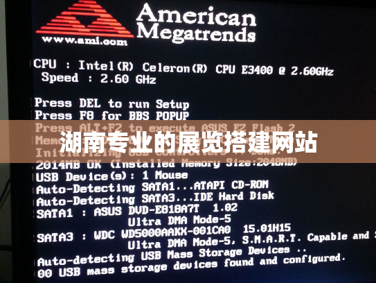 湖南专业的展览搭建网站