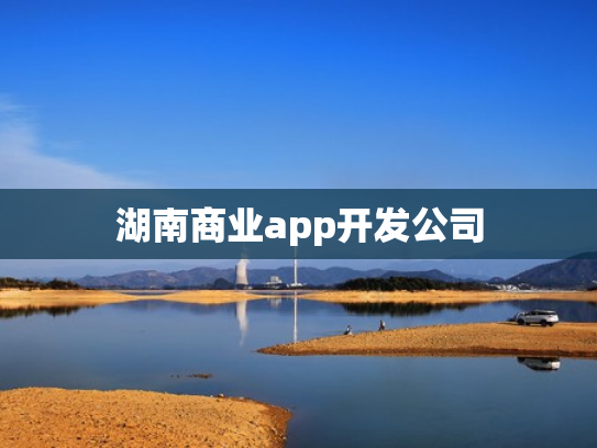 湖南商业app开发公司