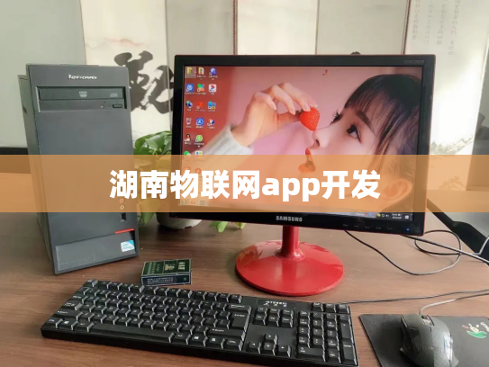 湖南物联网app开发