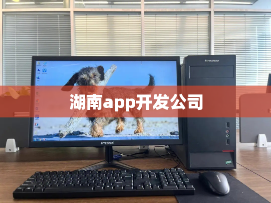 湖南app开发公司
