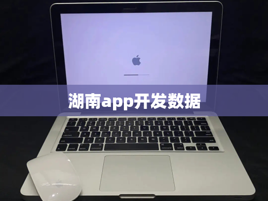 湖南app开发数据