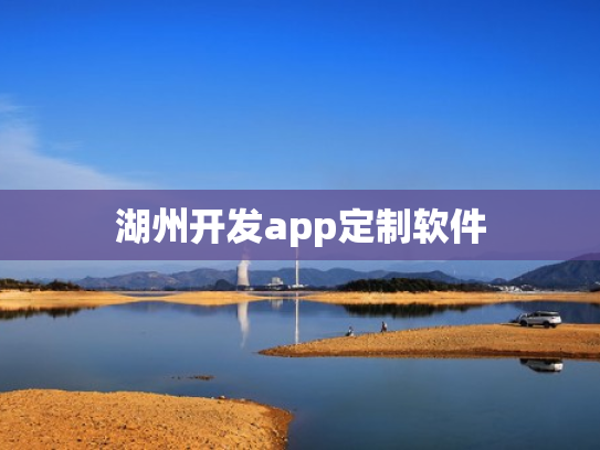 湖州开发app定制软件