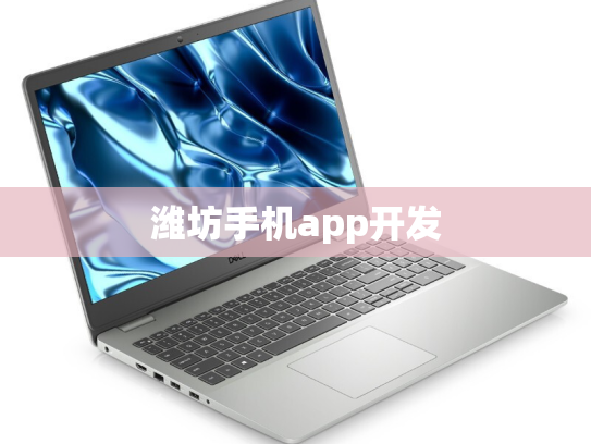 潍坊手机app开发