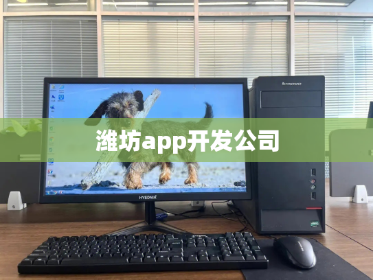 潍坊app开发公司