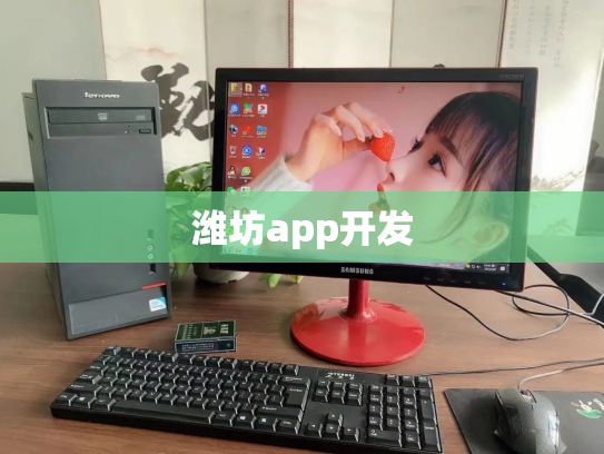 潍坊app开发