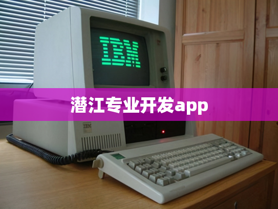 潜江专业开发app