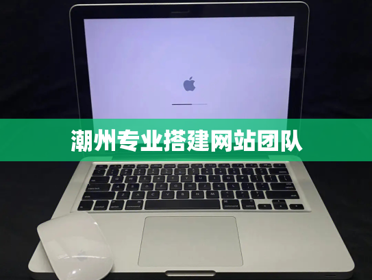 潮州专业搭建网站团队