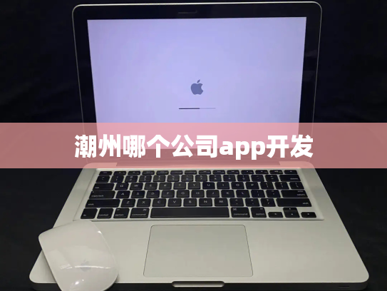 潮州哪个公司app开发