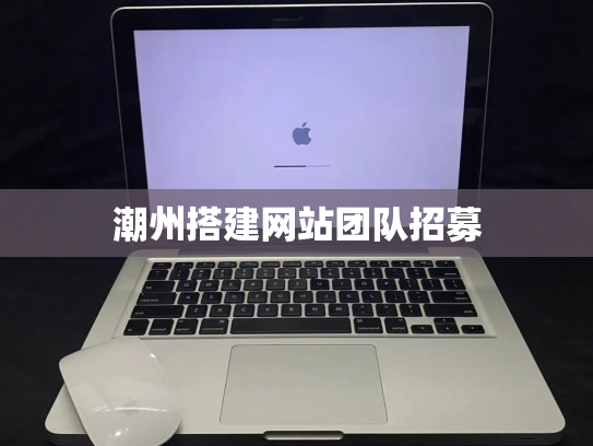 潮州搭建网站团队招募