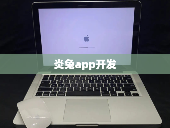 炎兔app开发