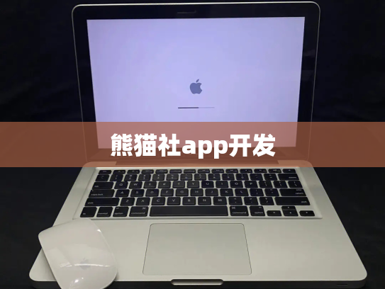 熊猫社app开发