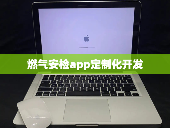 燃气安检app定制化开发