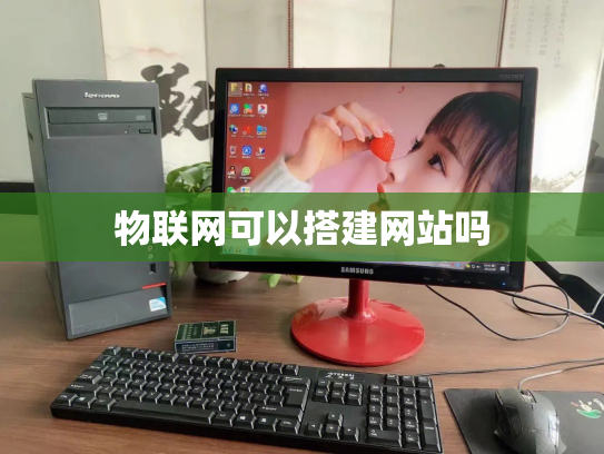 物联网可以搭建网站吗