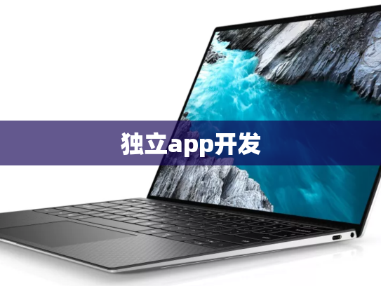 独立app开发