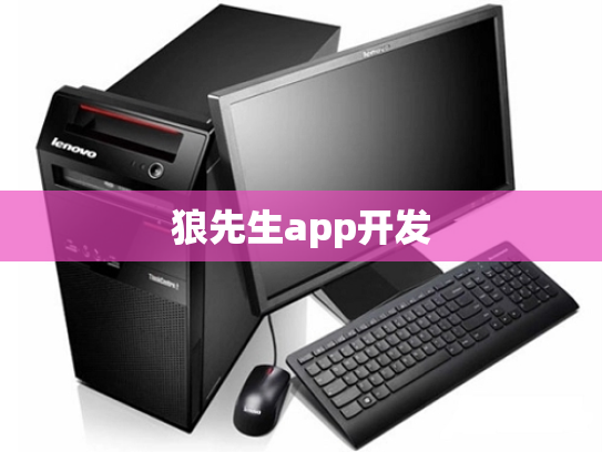 狼先生app开发