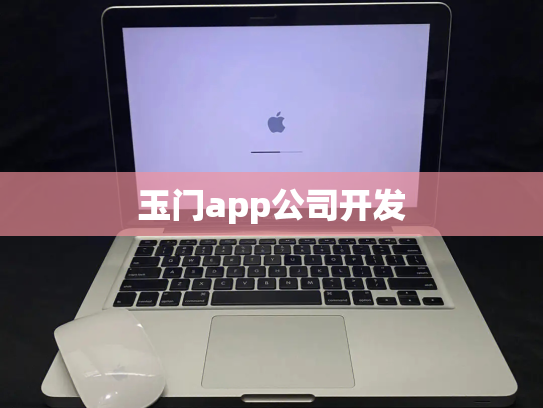 玉门app公司开发