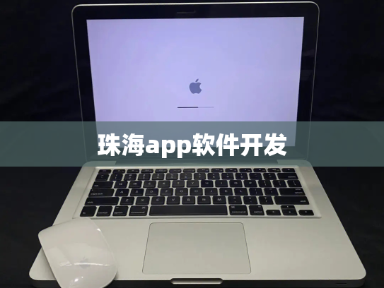 珠海app软件开发