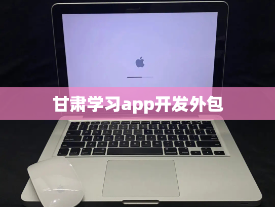 甘肃学习app开发外包