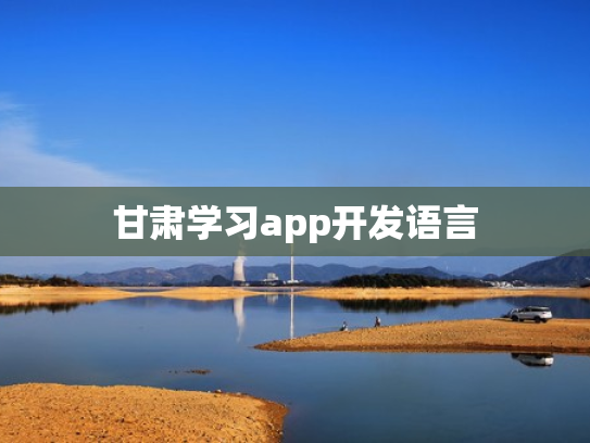 甘肃学习app开发语言