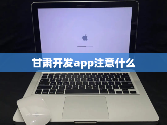 甘肃开发app注意什么