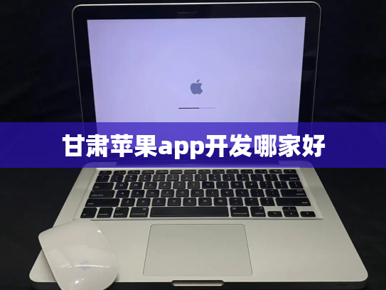 甘肃苹果app开发哪家好