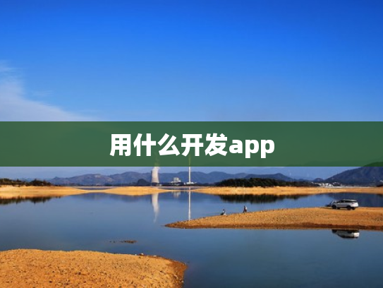 用什么开发app