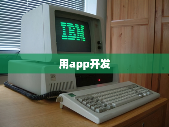 用app开发