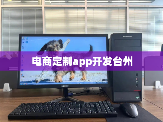 电商定制app开发台州