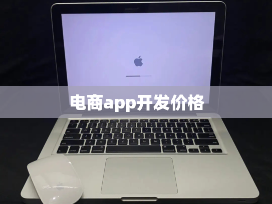 电商app开发价格