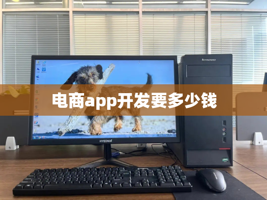 电商app开发要多少钱