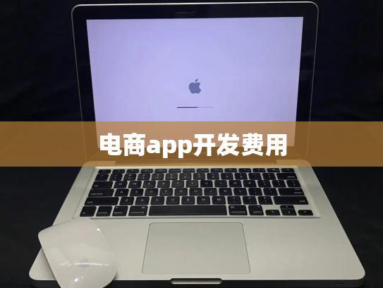 电商app开发费用