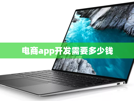 电商app开发需要多少钱