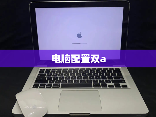 电脑配置双a