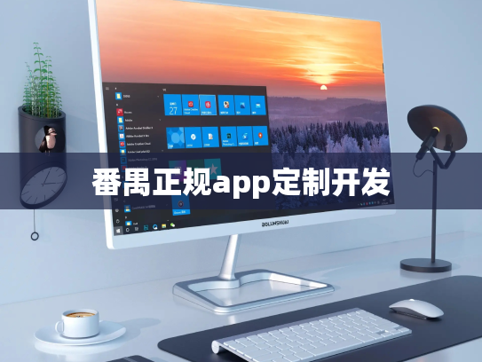 番禺正规app定制开发