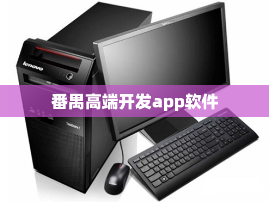 番禺高端开发app软件