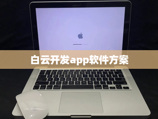白云开发app软件方案