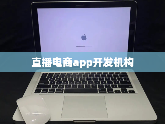 直播电商app开发机构