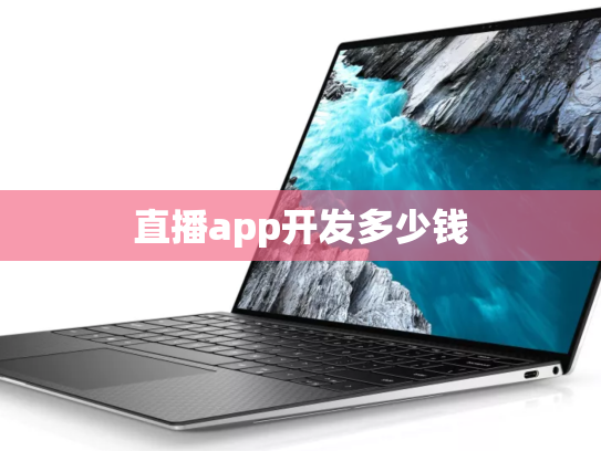 直播app开发多少钱
