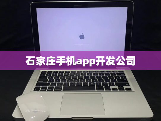 石家庄手机app开发公司