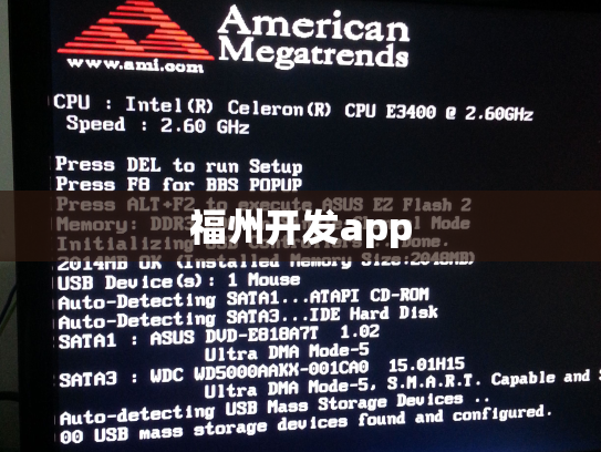 福州开发app
