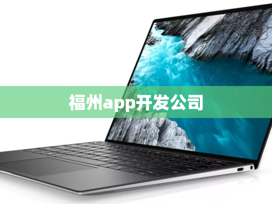 福州app开发公司