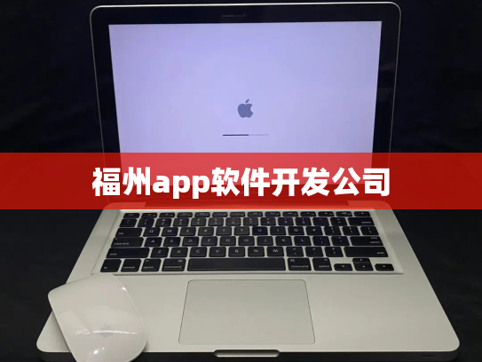 福州app软件开发公司
