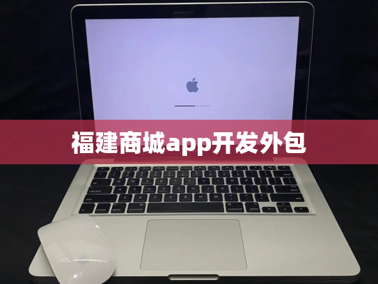 福建商城app开发外包
