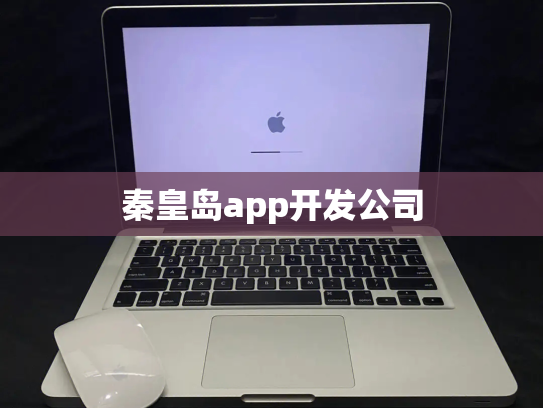 秦皇岛app开发公司