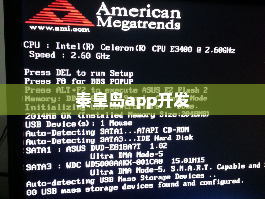 秦皇岛app开发