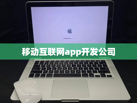 移动互联网app开发公司